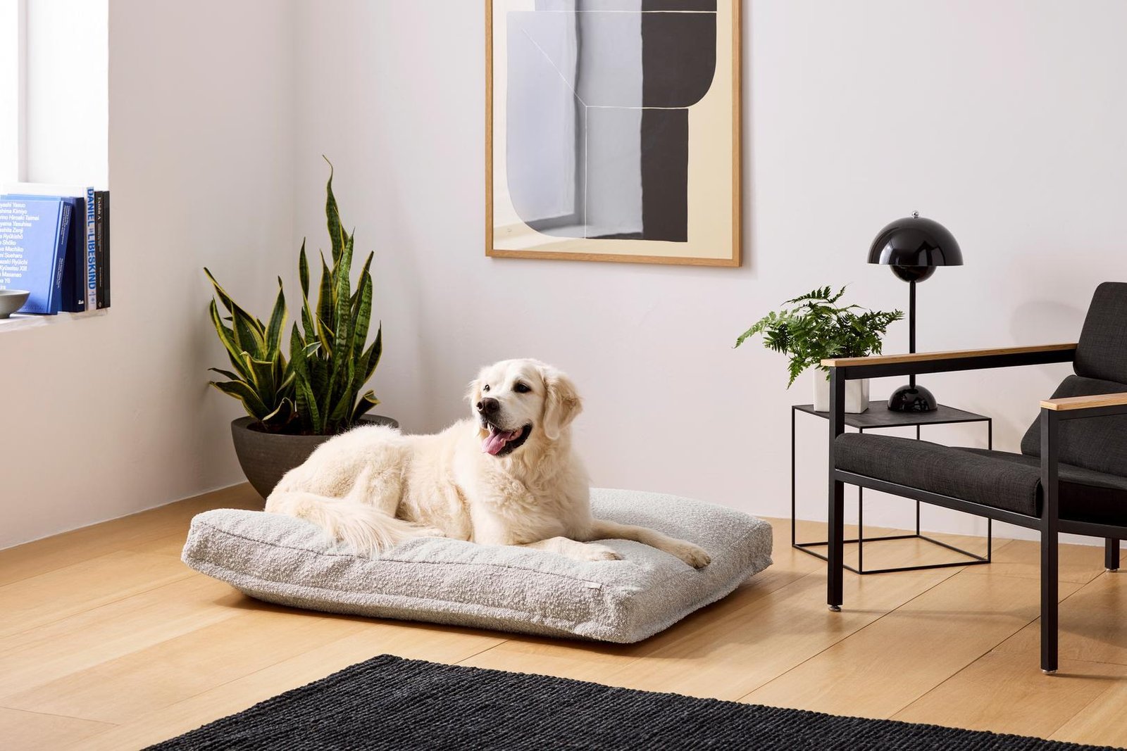 pet bed saatva